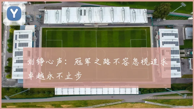 刘铮心声：冠军之路不容忽视追求卓越永不止步