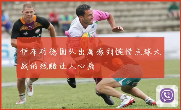 伊布对德国队出局感到惋惜点球大战的残酷让人心痛