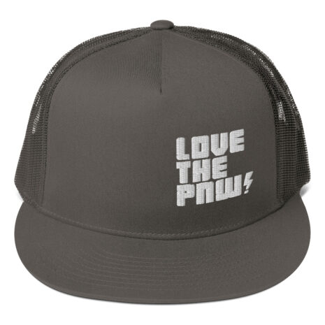 mesh-back-snapback-charcoal-gray-front-62523dc77d3f9.jpg